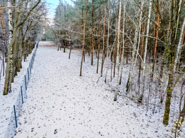 Działka budowlana Sokolniki-Las