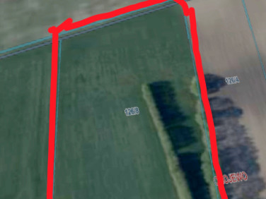Działka rolna Chojewo-Kolonia
