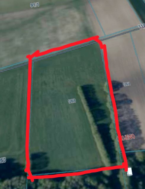 Działka rolna Chojewo-Kolonia