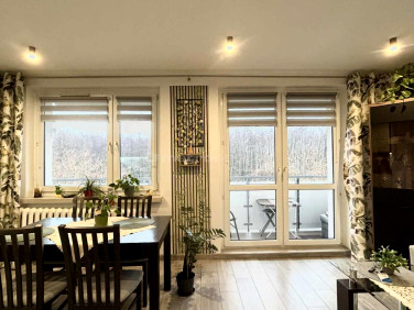 Mieszkanie Jastrzębie-Zdrój