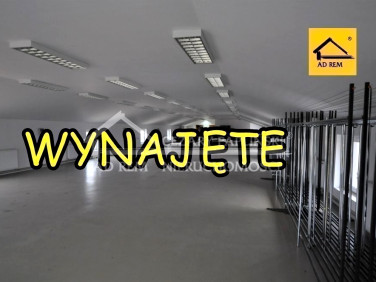Lokal Kurów wynajem