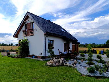 Dom Zębowo sprzedaż