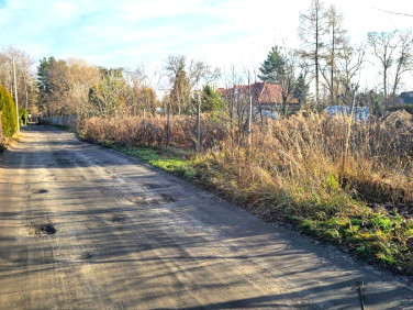 Działka usługowa Wola Grzymkowa