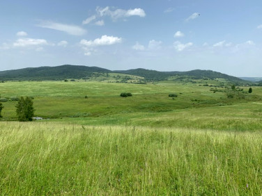 Działka rolna Michniowiec