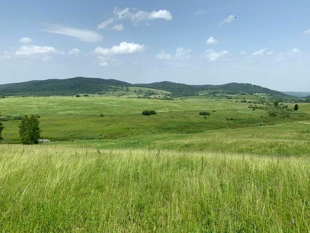 Działka rolna Michniowiec