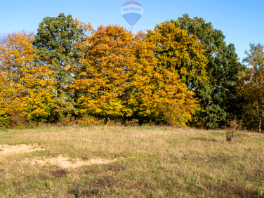 Działka budowlana Kościerzyna