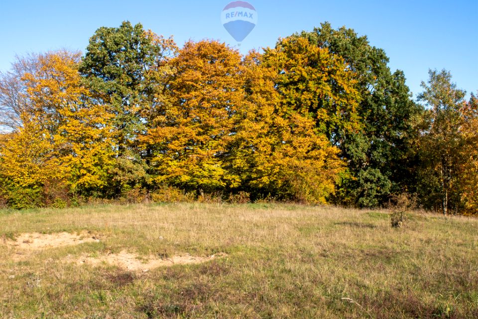 Działka budowlana Kościerzyna