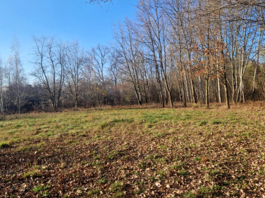 Działka budowlana Grodzisk Mazowiecki