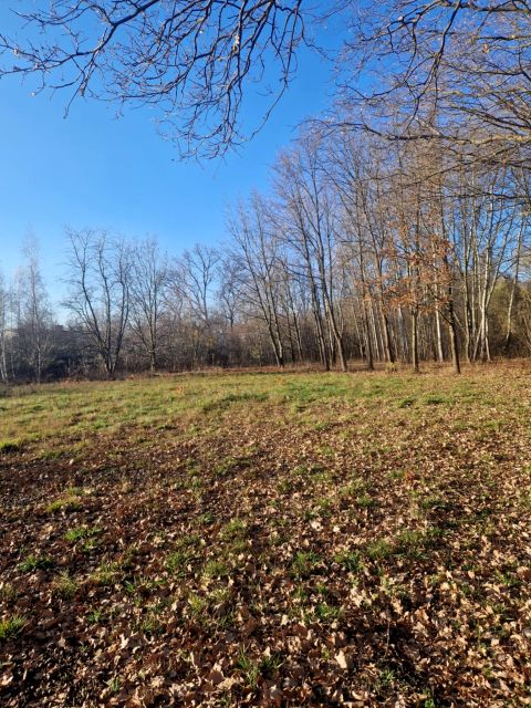 Działka budowlana Grodzisk Mazowiecki