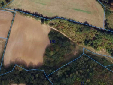 Działka siedliskowa Topolno