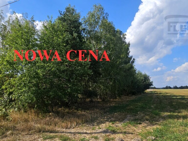 Działka budowlana Wola Krakowiańska