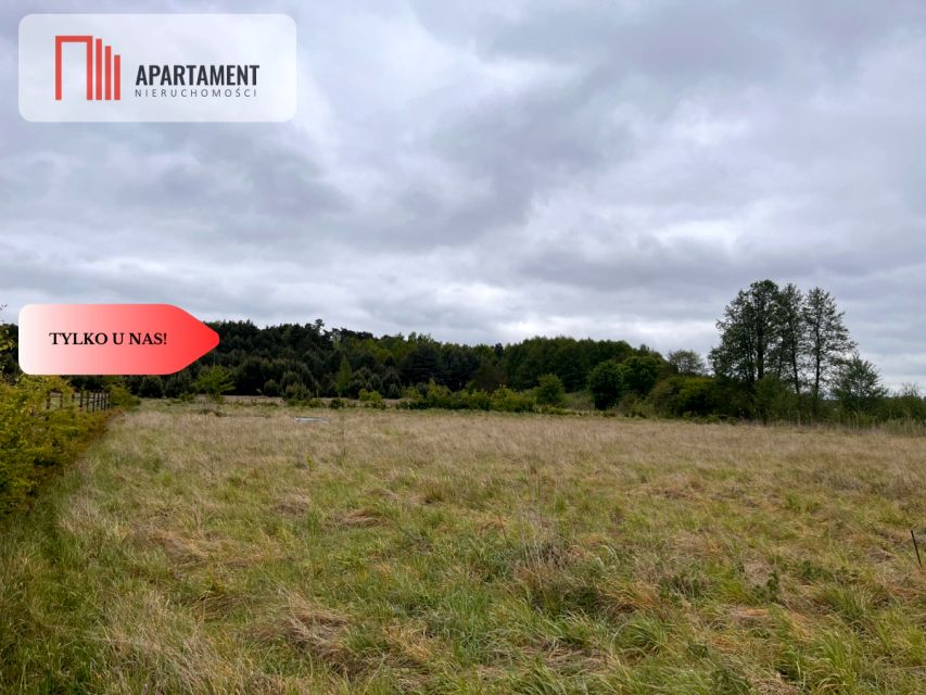 Działka Nowe Dąbie