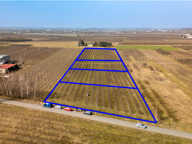 Działka budowlana Warpęsy, jasie