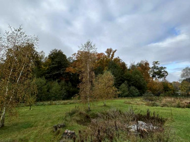 Działka budowlana Żary