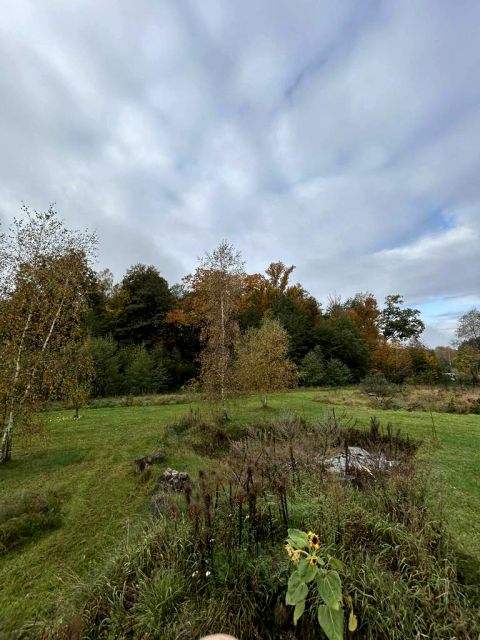 Działka budowlana Żary