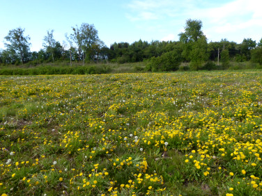 Działka budowlano-rolna IDZBARK