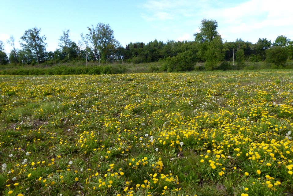 Działka budowlano-rolna IDZBARK