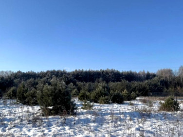 Działka budowlana Stare Byliny