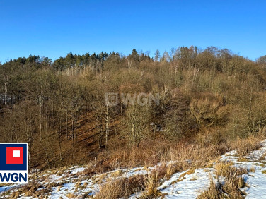 Działka budowlana Święcko