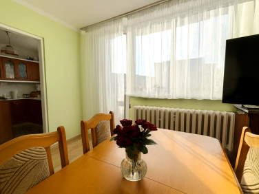 Mieszkanie Zielona Góra