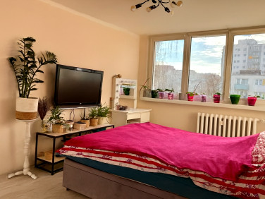 Mieszkanie Zielona Góra sprzedaż