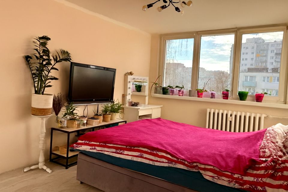 Mieszkanie Zielona Góra sprzedaż