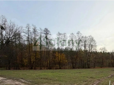 Działka budowlana Rozalin