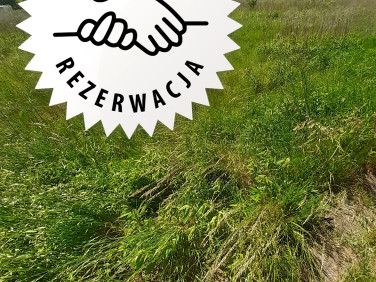 Działka budowlana Wola Gołkowska sprzedam