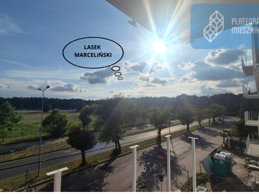 Mieszkanie Poznań sprzedaż