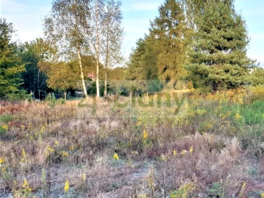 Działka budowlana Szczęsne