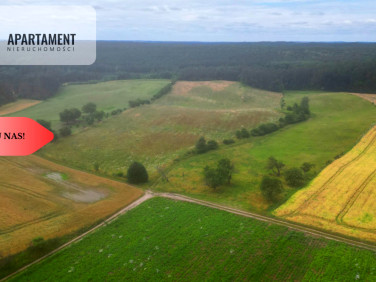 Działka siedliskowa Opalenie