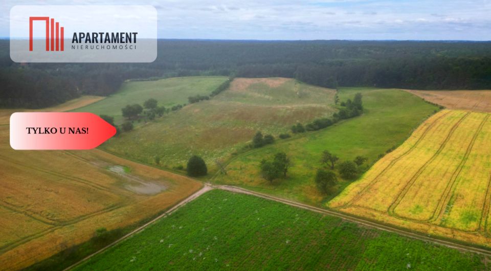 Działka siedliskowa Opalenie