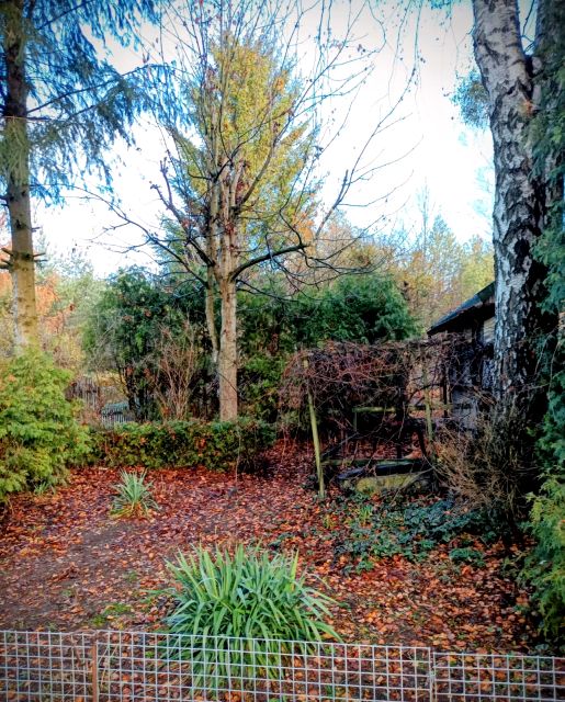 Działka rekreacyjna Białystok