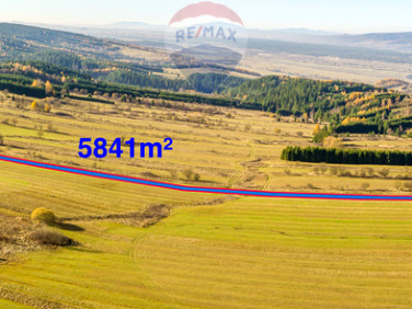 Działka rolna Frydman sprzedam