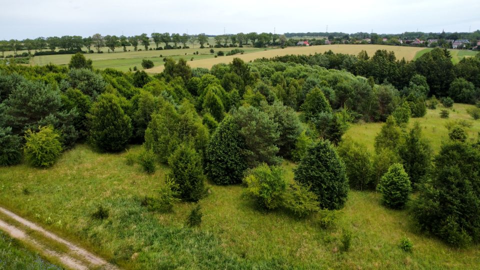 Działka budowlana Gniewino