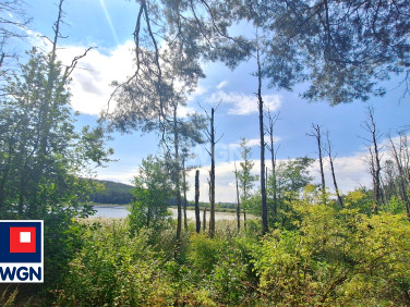 Działka budowlana Bartniki