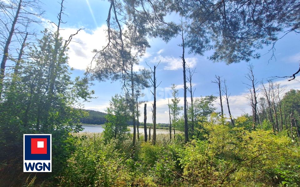 Działka budowlana Bartniki