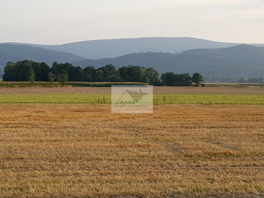 Działka budowlano-rolna Bratoszów