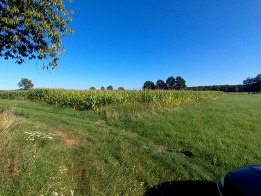 Działka rolna Opole sprzedam