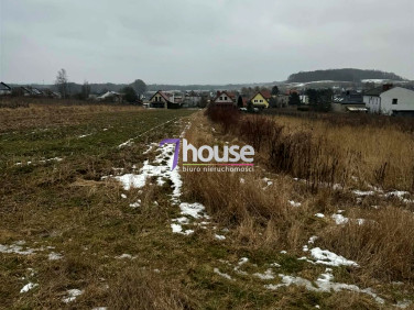 Pusta działka Orzech