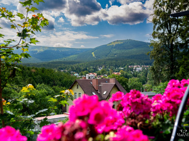 Mieszkanie SZKLARSKA PORĘBA