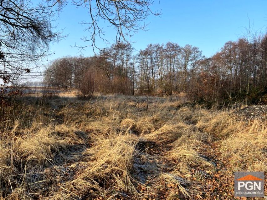 Działka budowlana Kamień Pomorski