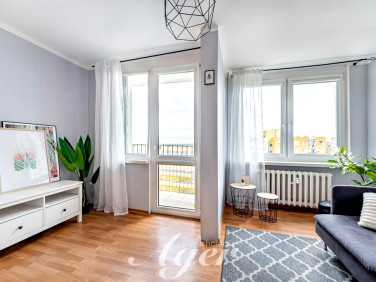 Mieszkanie Zielona Góra