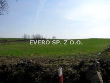 Pusta działka Wawrzyszów