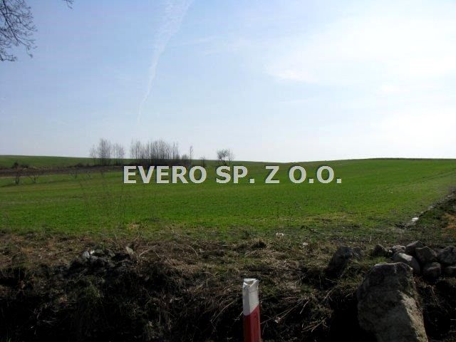 Pusta działka Wawrzyszów