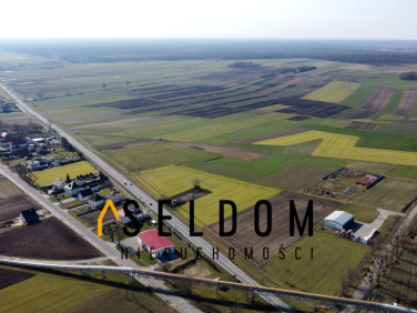 Działka Zimnice Wielkie