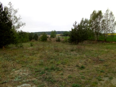 Działka budowlana Głębocko