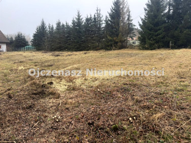 Pusta działka Jeleń