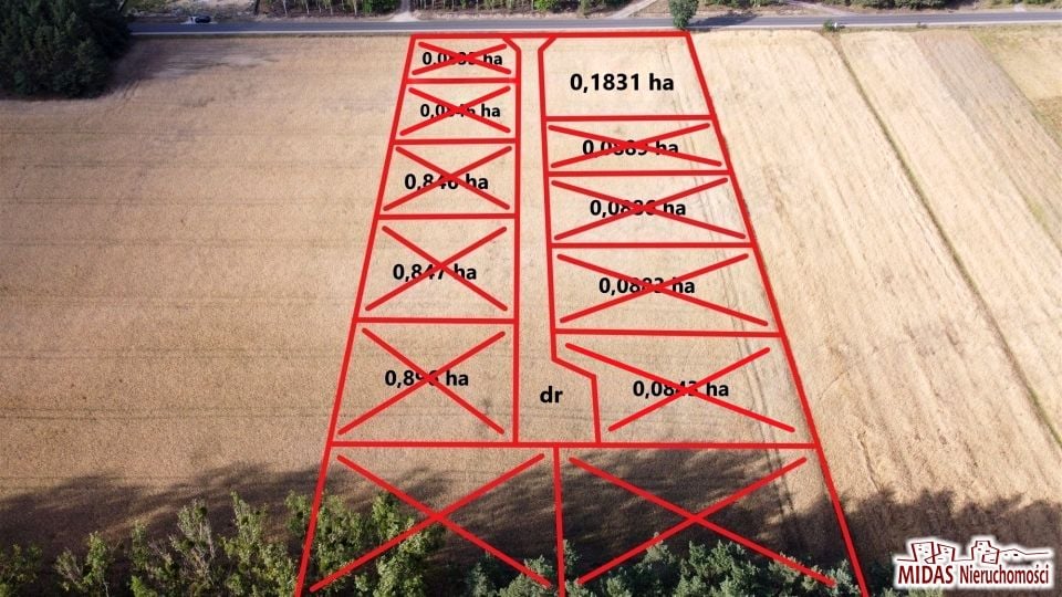 Zdjęcie 3