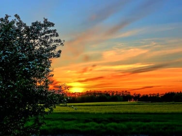 Działka budowlana Węgrzce